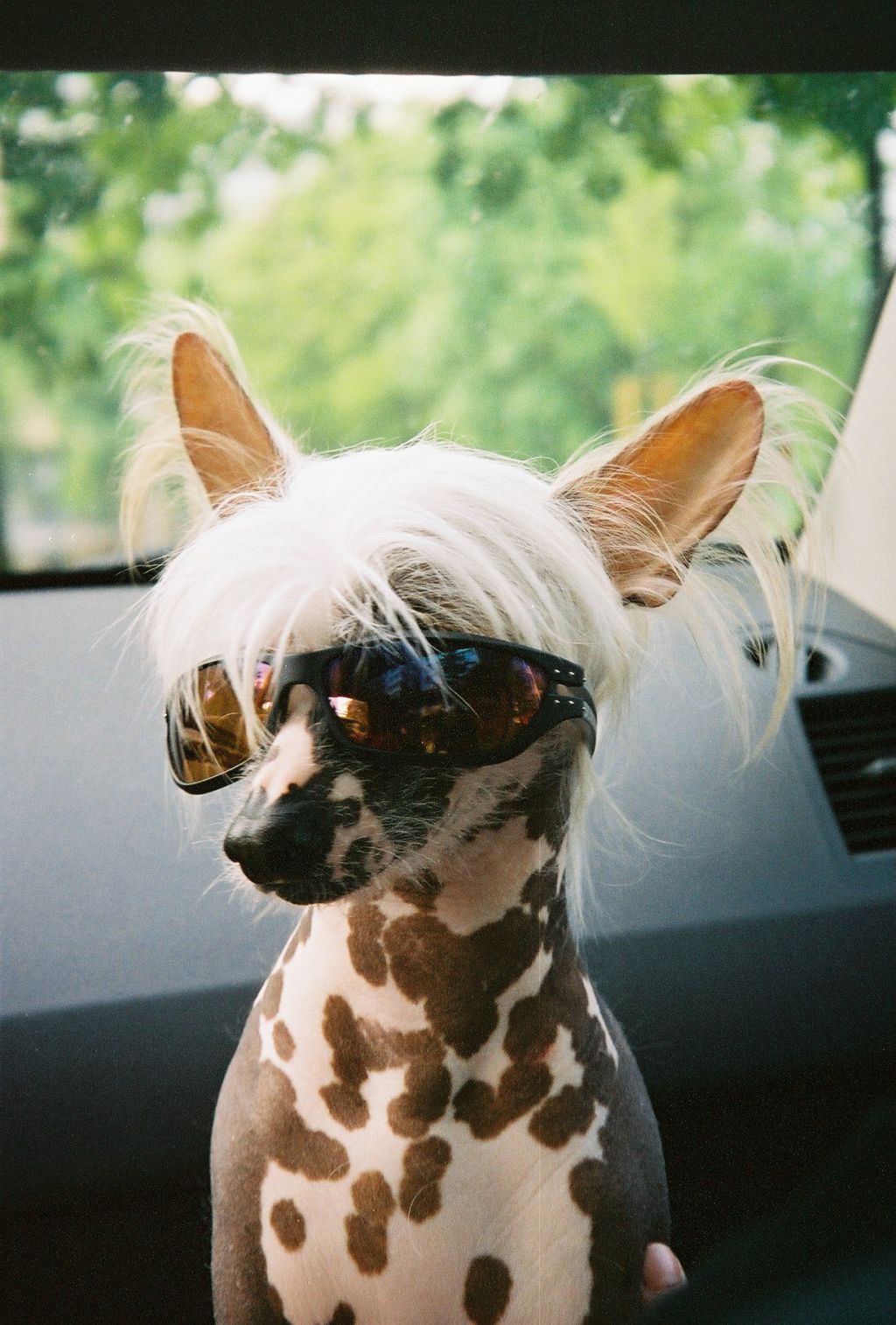 Boris Candy ze Zeme pokladu