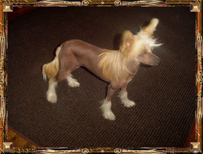 Outlaw's Prairie Fire