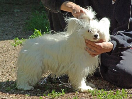 Rahel Liñah Ébreszt