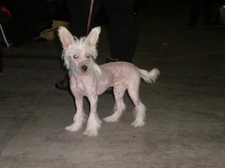 Lucky Line's In Artic Light