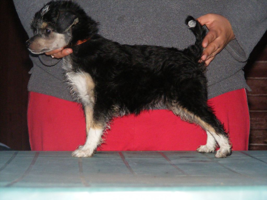 Eugenios Paid My Dues