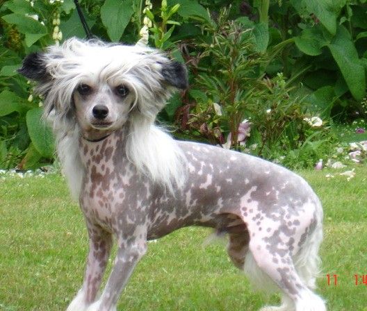 Habiba In The Fast Lane