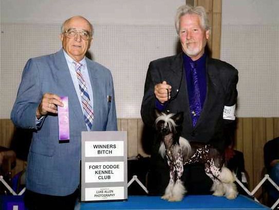 Daretobebare Splish Splash