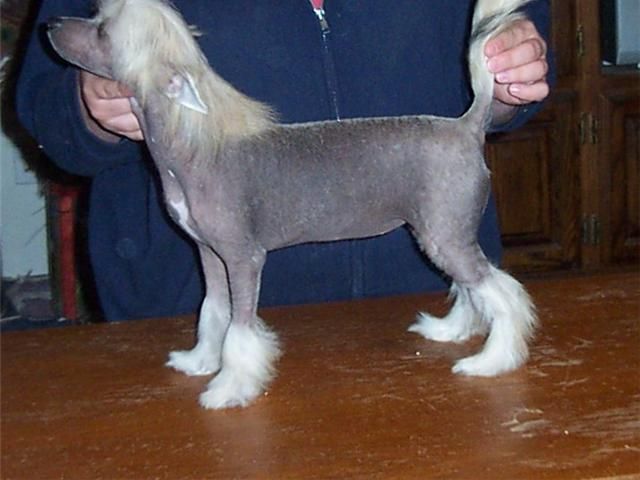 Mosaic's My Lips are Sealed