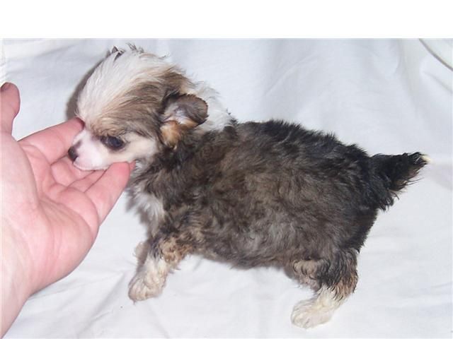 Mosaic's Something To Talk About