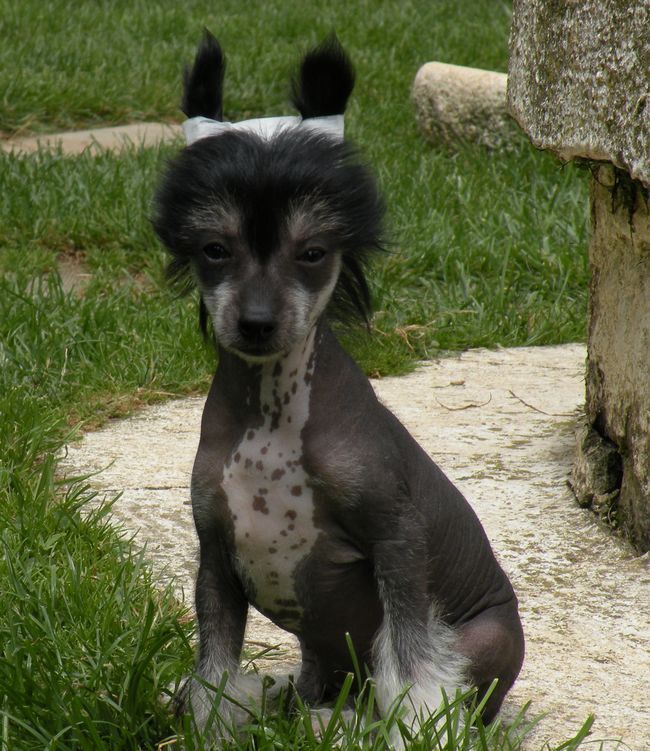 Darkness Du Coeur Des Tenebres