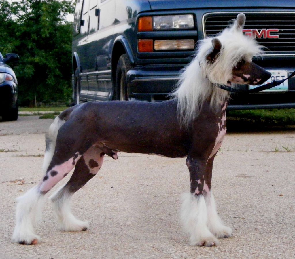 WhisperinLn' Don't Ya Think I'm Sexy