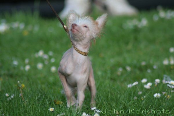 Jai-Li of Gizzy's Home