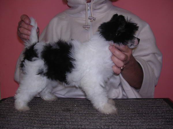 Jewell Princess Epocha