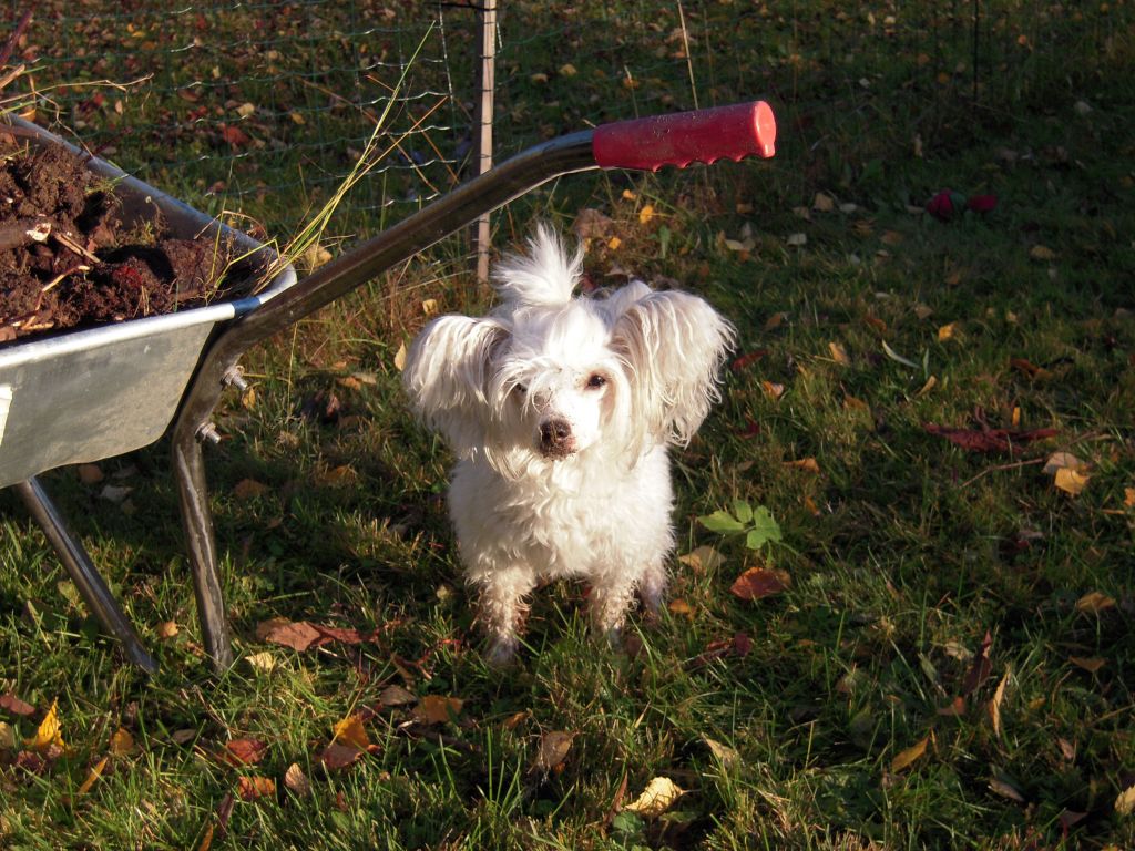 Calibra's All About Hair