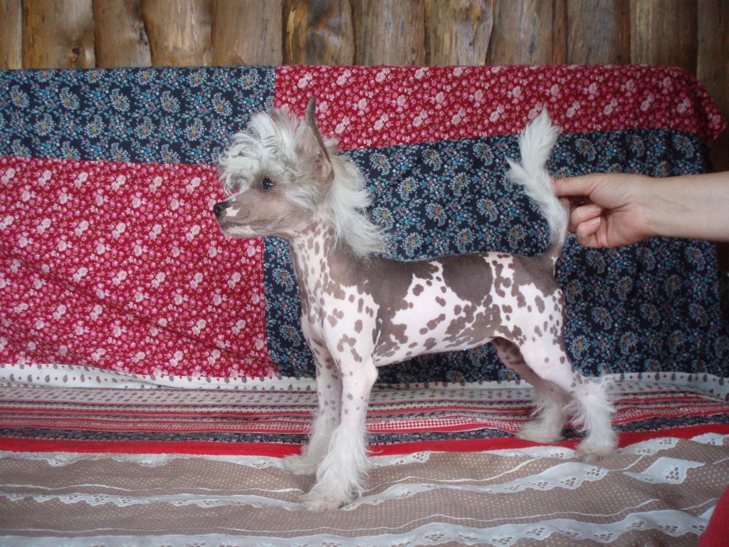 Donna Mila Fen-Kami Mitau