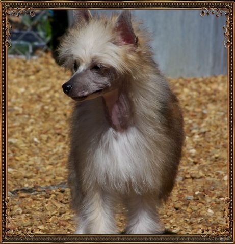 Baldpark Trinity's Poetry In Motion