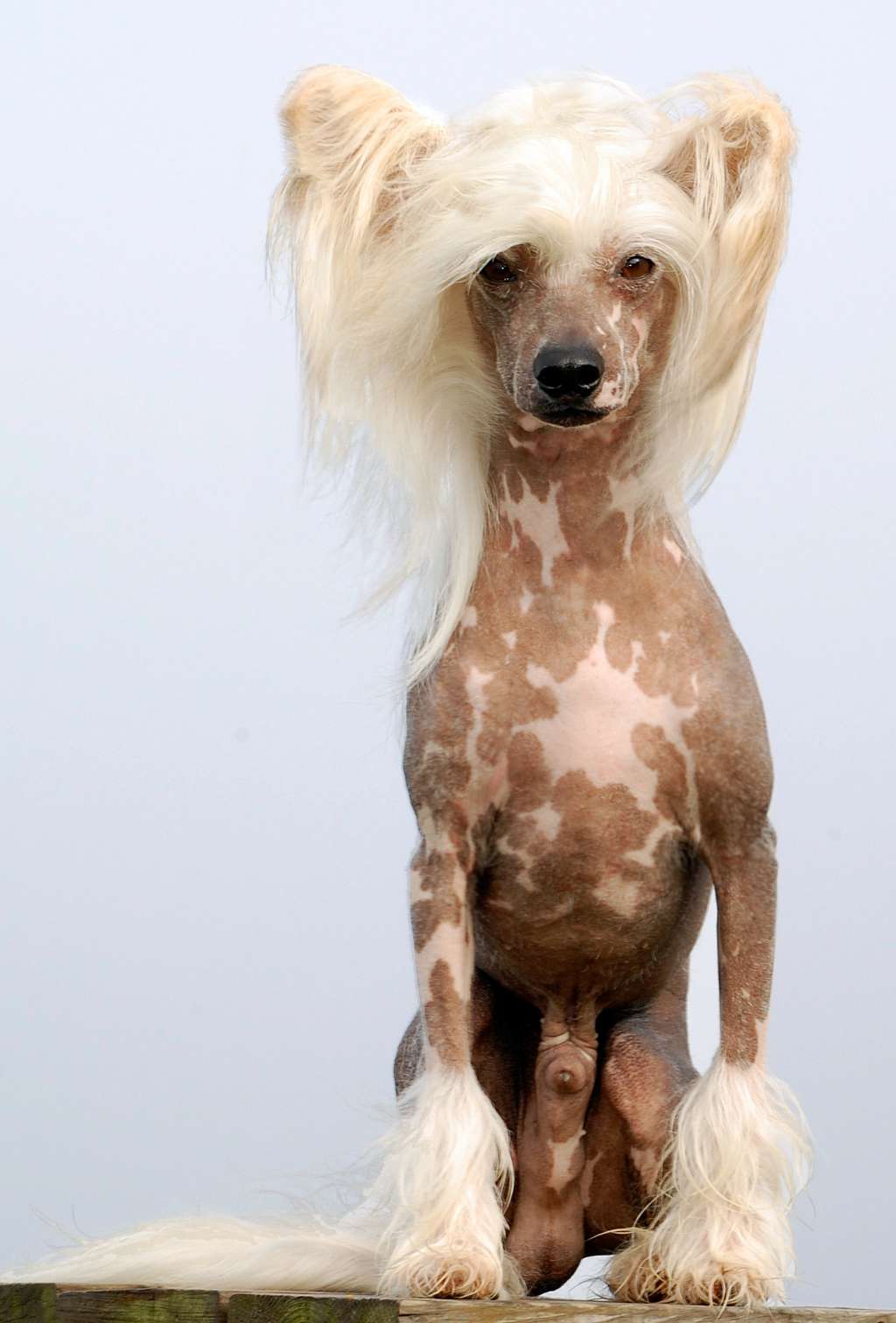 Prefix Abraham Lincoln