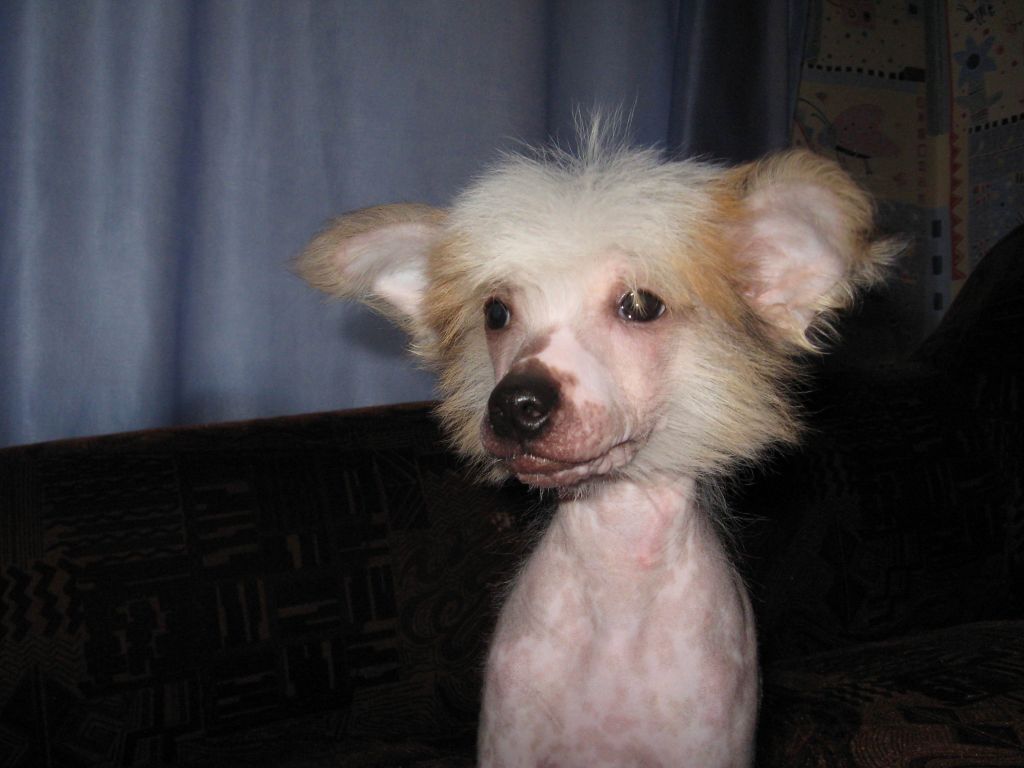 Melanies Rerity Bonjour