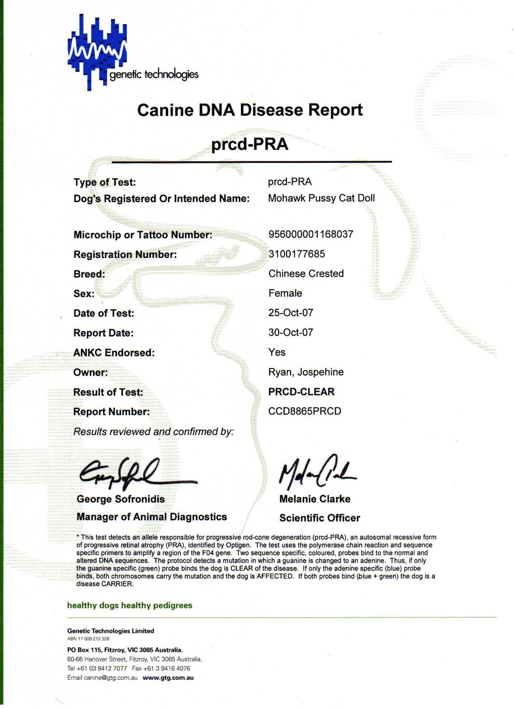 Mohawk Pussycat Doll