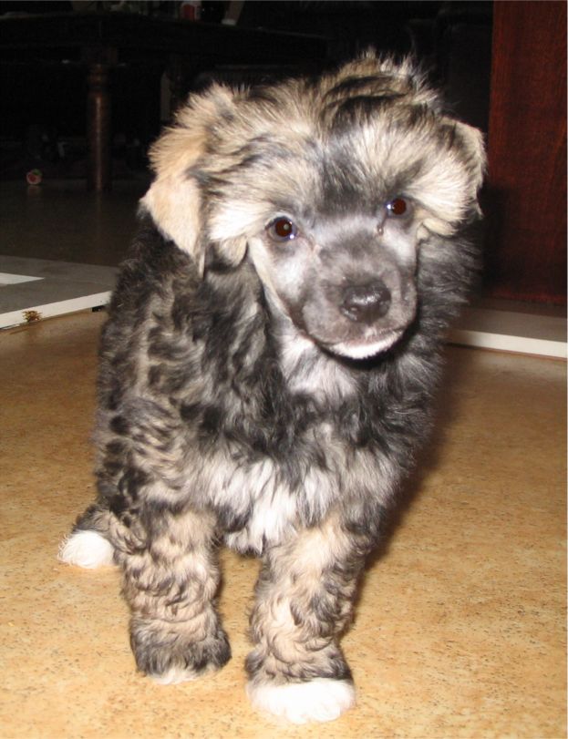 Spirit Of Mantra's Bosse Högberg