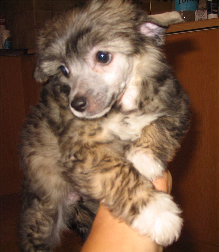 Spirit Of Mantra's Liz Högberg