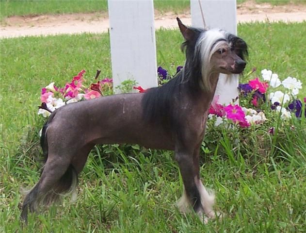 Mosaic's You Can't Handle This