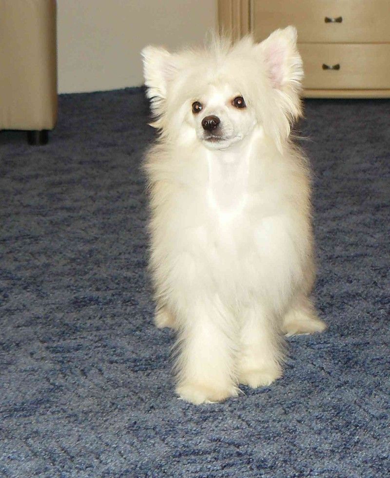 Clarietta z Teramonu