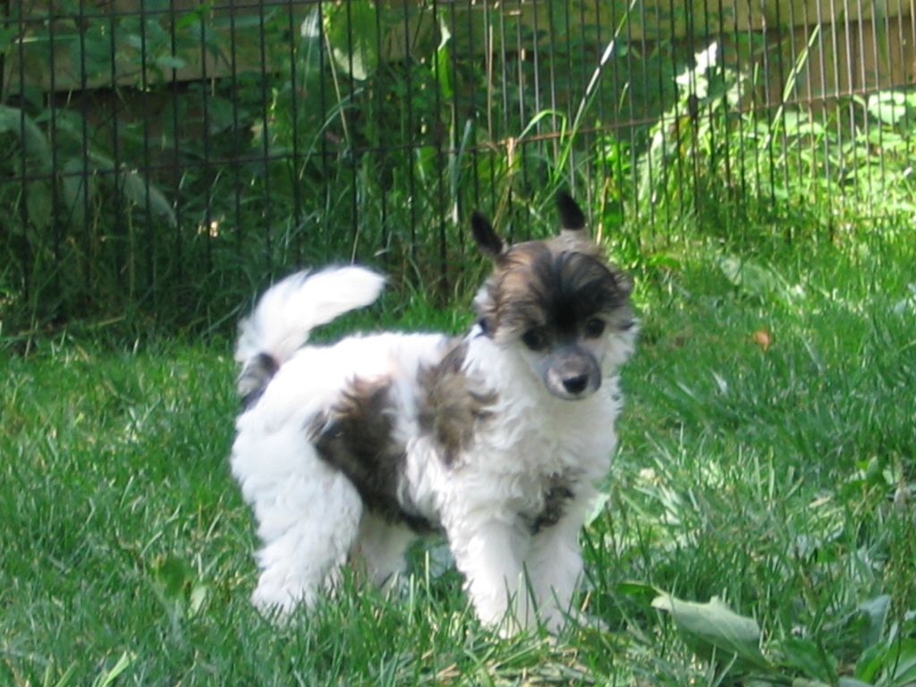 Escada's One Parting Kiss