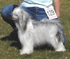 Kashi Laudy Miss Claudy