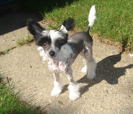 Creekside's Victoria's Secret