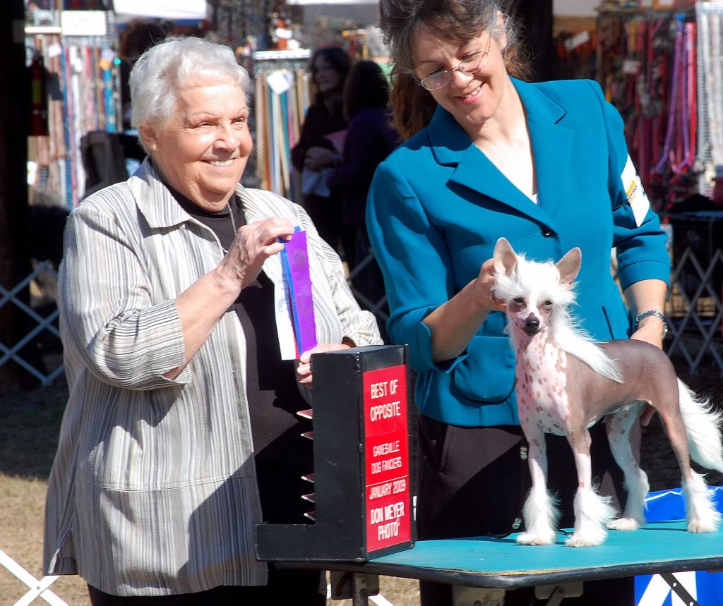 Altacrest's What Dreams are Made Of