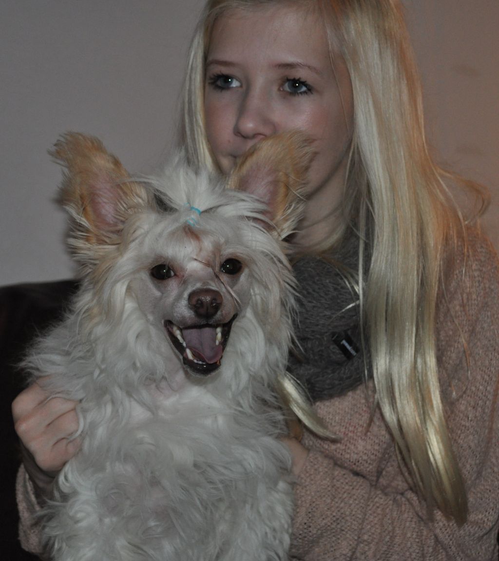 Shandor's Glacier Gimli