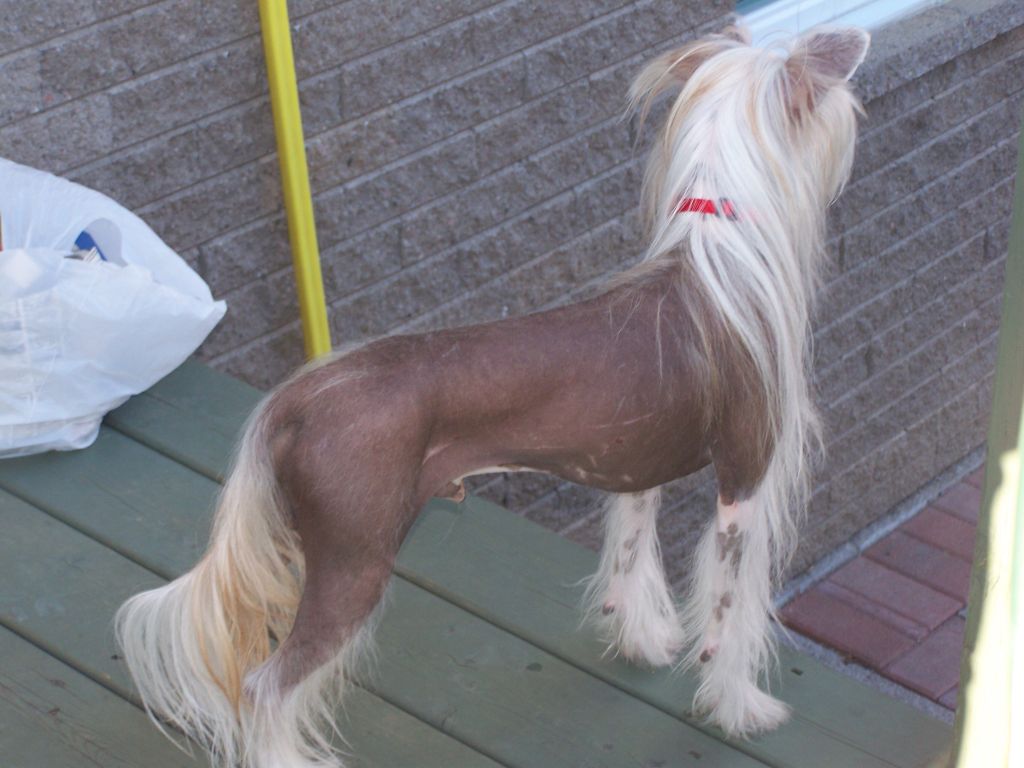 Nu Poil's Twister River Lane