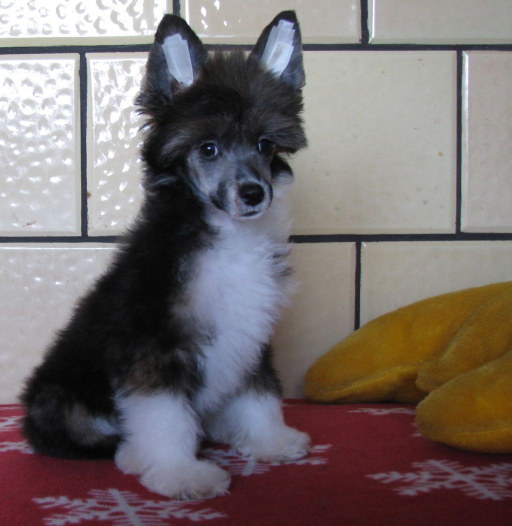 Olimpia Galus Pastoral