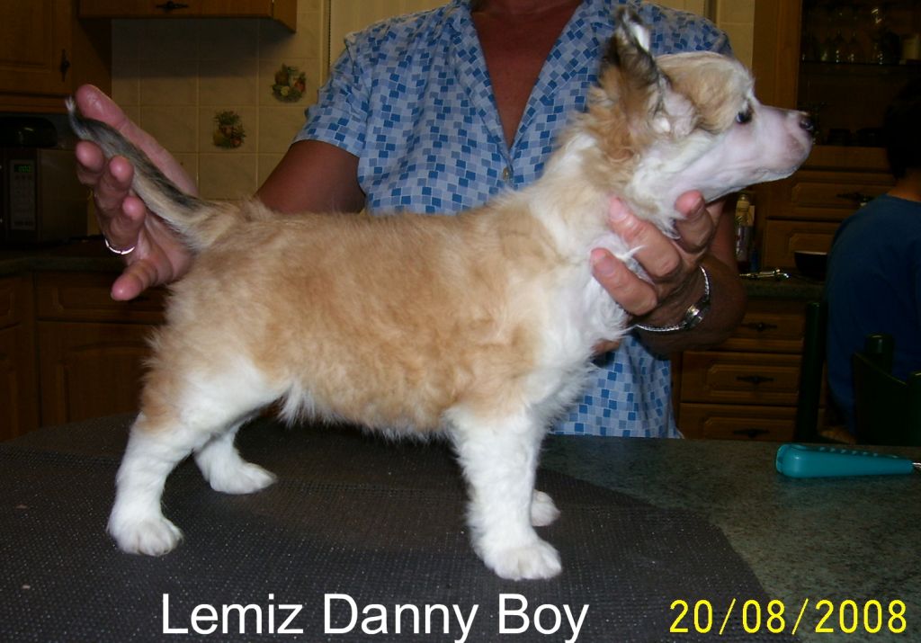 Lemiz Danny Boy