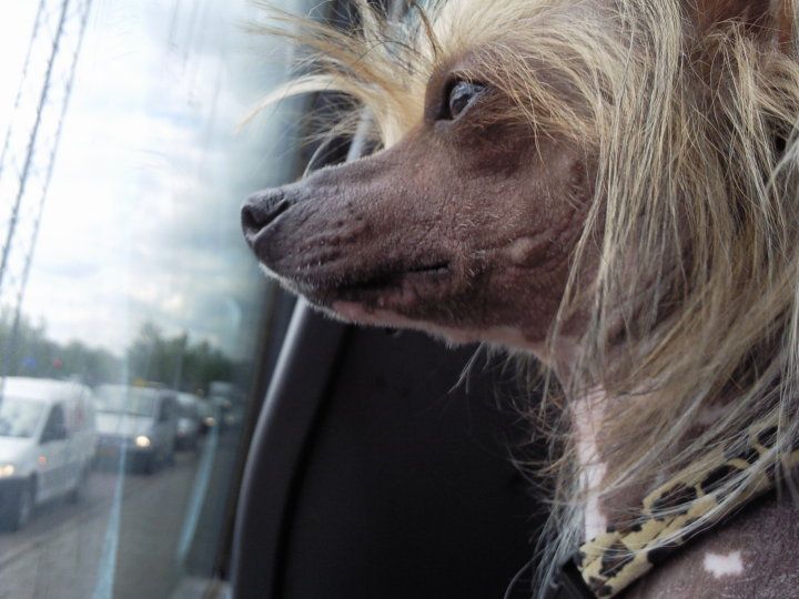 Ridgecrest's Smashing Hit