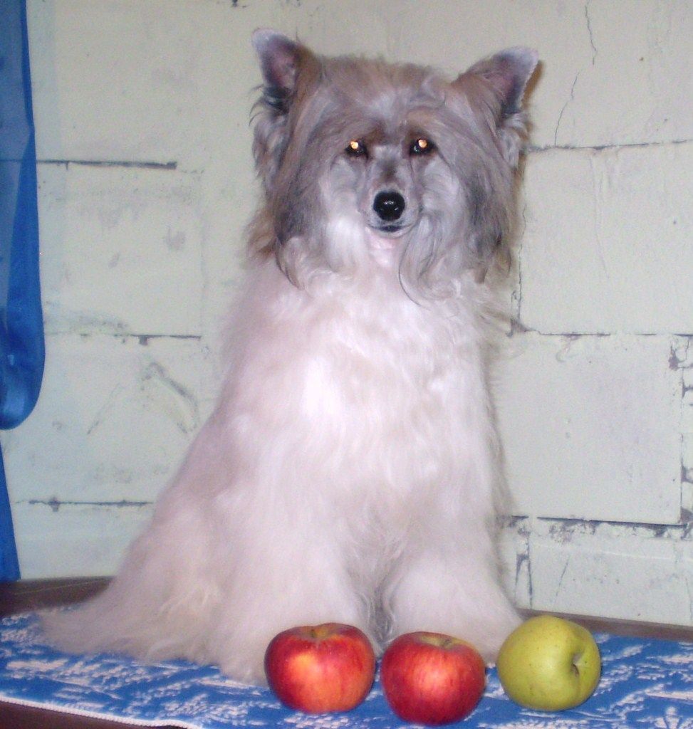 Olegro Katrin Ignited Galactic