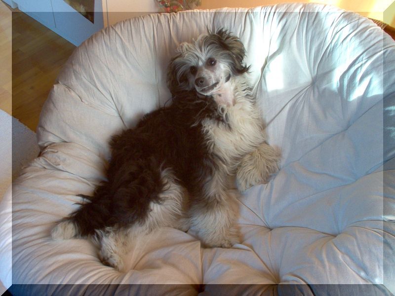 Fundoklia-Völgyi Kaszanics Atomic