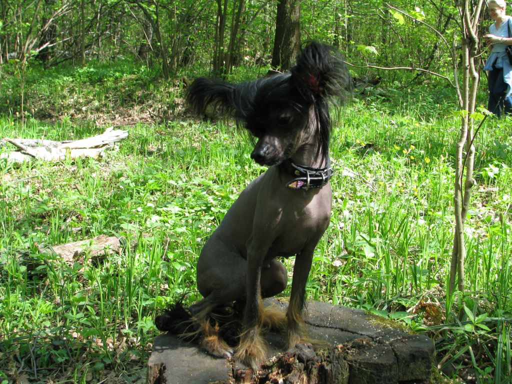 Aura Beauty Filatelia