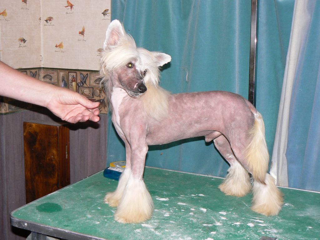 Doucai's Born To Be Bad