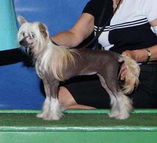 Spiritual Mosaic Sweet Temptation