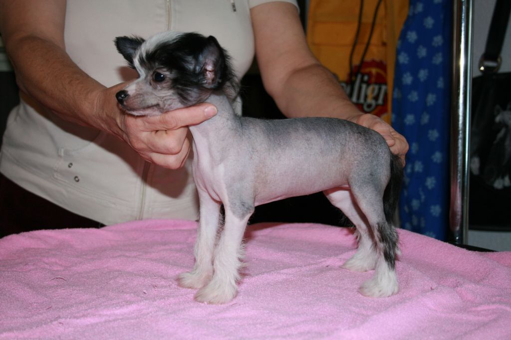 Lovestory Fantasy Island