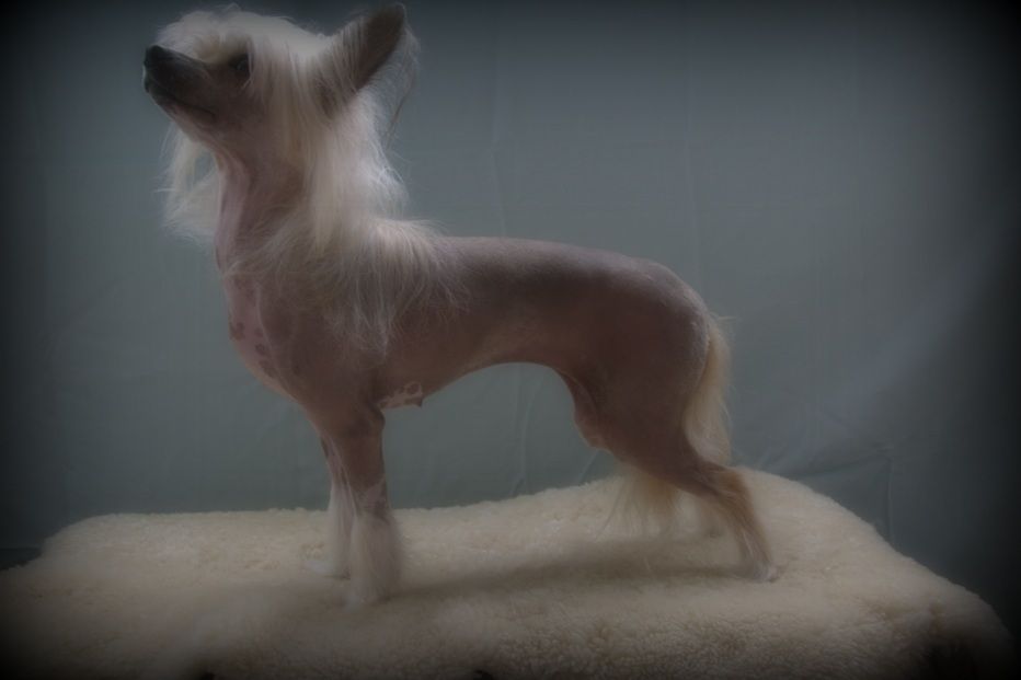 Solen Och Vindarnas Babsan