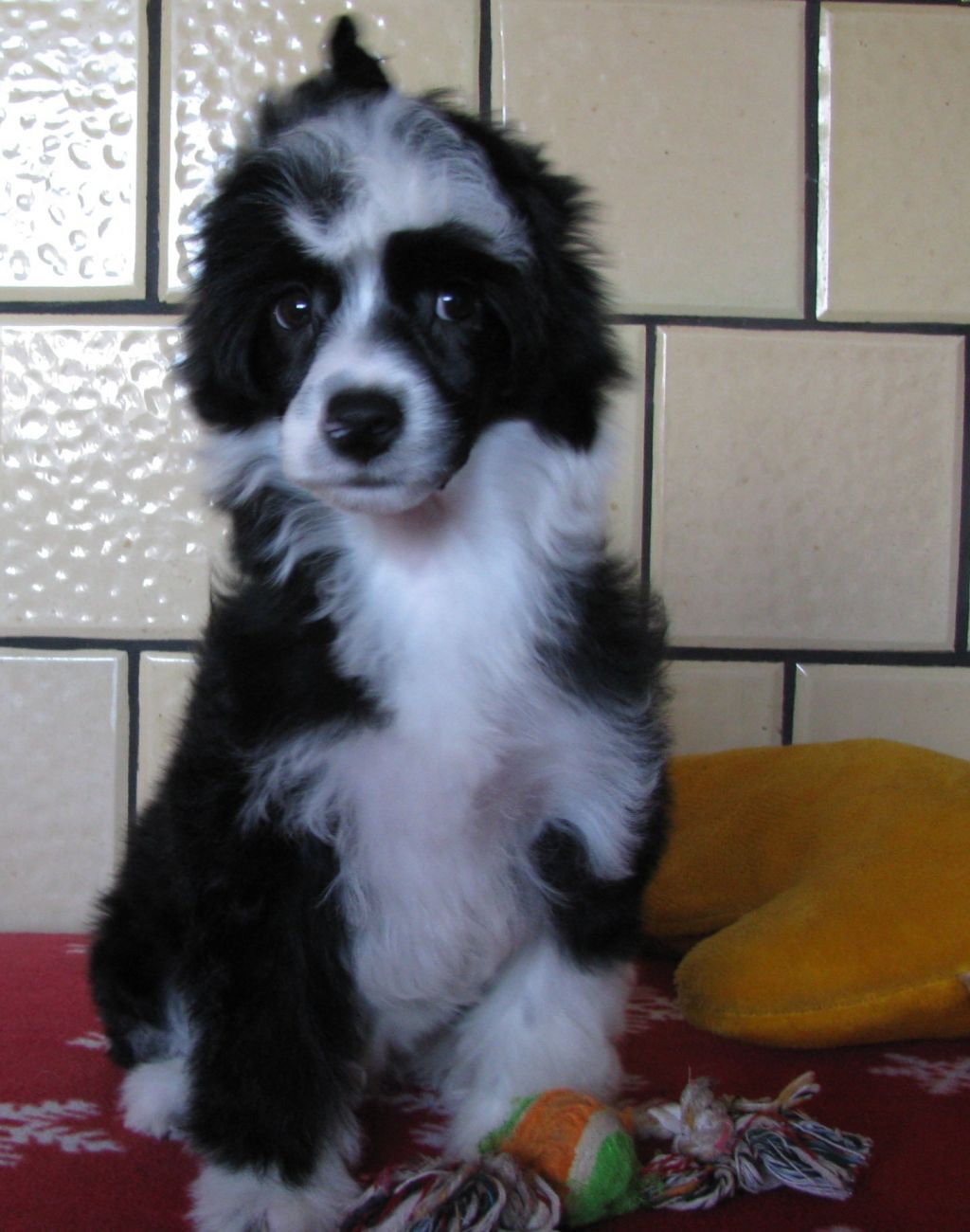 Experience Of Life von Shinbashi