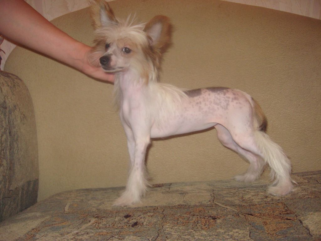 Melanies Rerity Vivien Lee