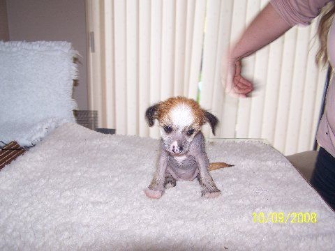 Jofrankie's First Kiss