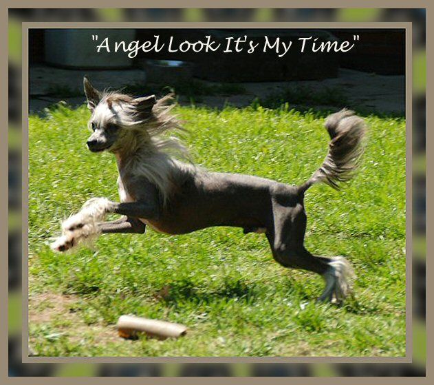 Angel Look It's My Time