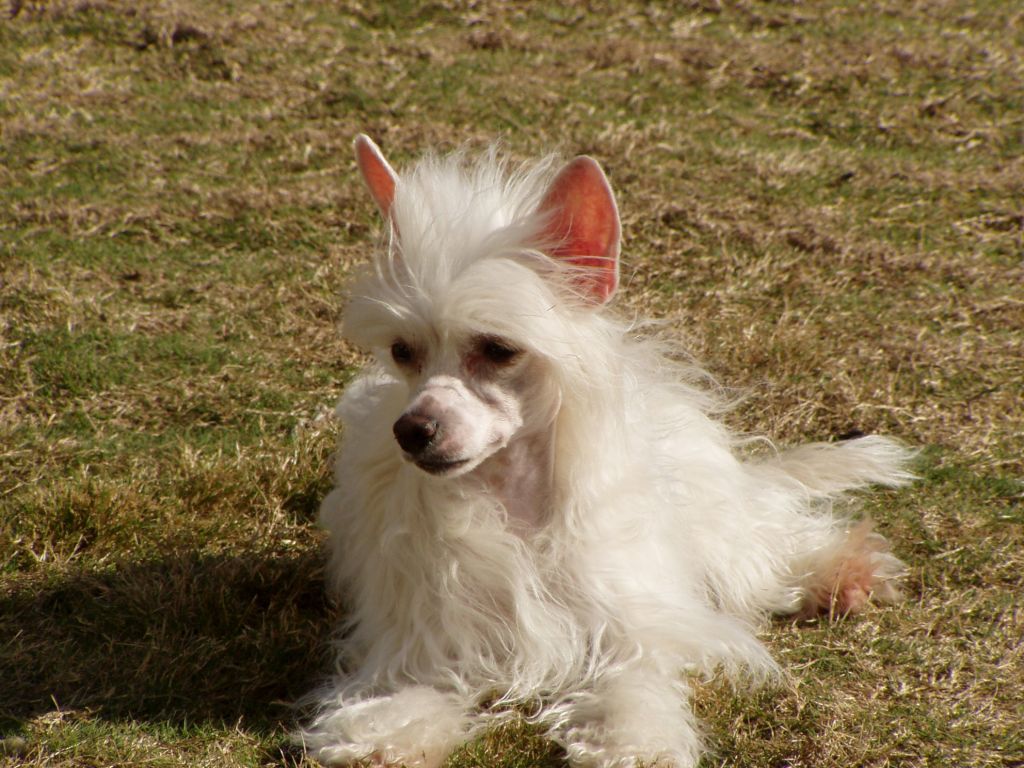 Makara's No Rhyme Nor Reason