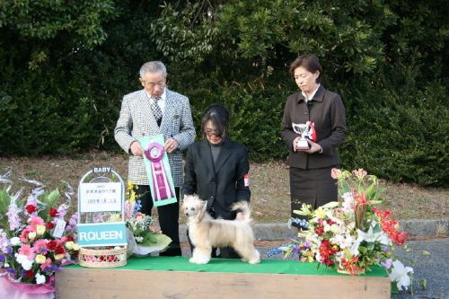 Mayu Treasures Jp Victory Vega