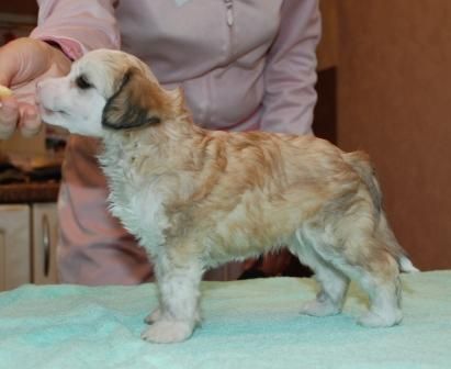 My Lucky Love Afterglow in your Heart