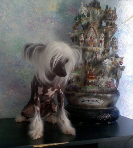 Gost*ja Iz Budushigo Darsija