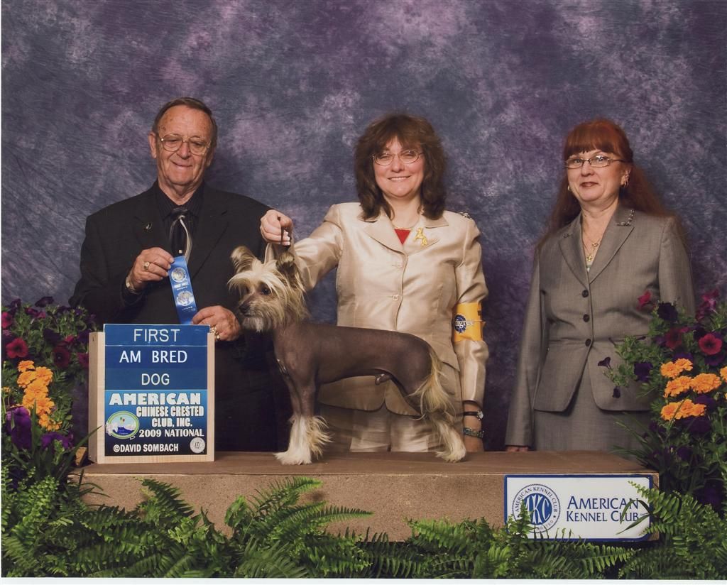 Gingery's Riverhorse