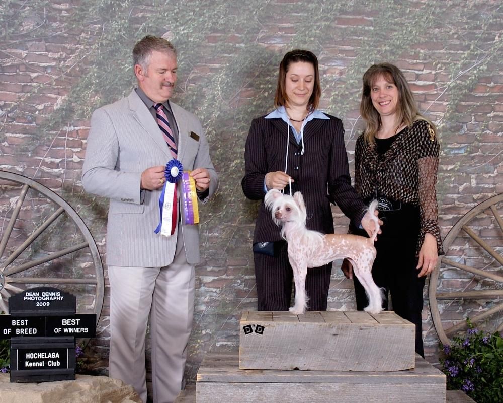 Nu Poil's Sweet Spice Ginger