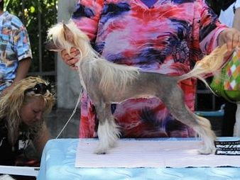 Si Assolata Arancia Minodora